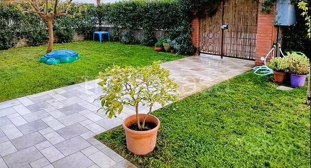 immagine annuncio 10 di 12