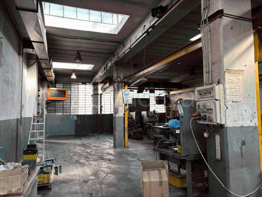 immagine annuncio 7 di 15