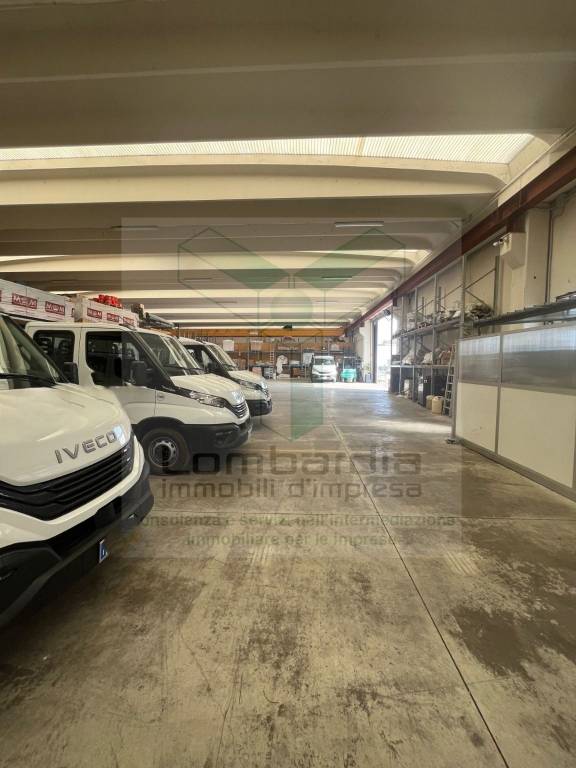 immagine annuncio 7 di 15