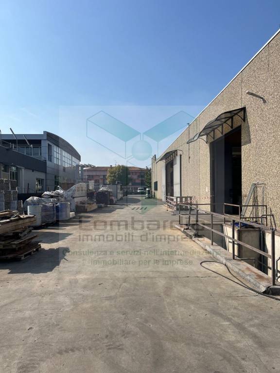 immagine annuncio 12 di 15