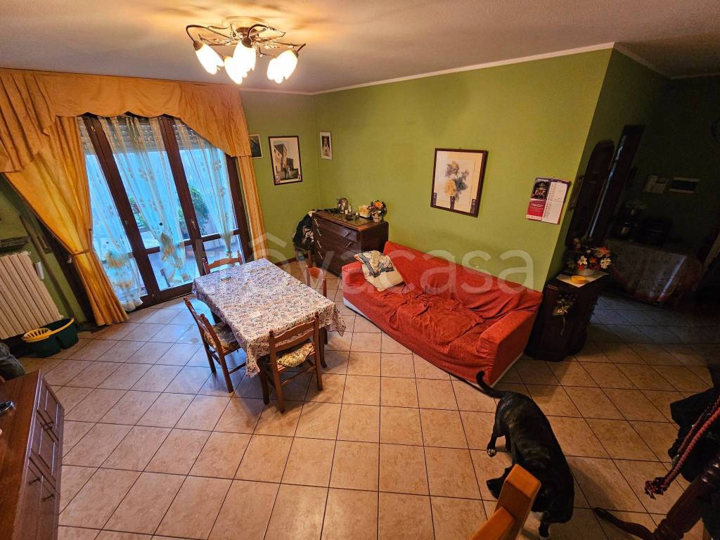 immagine annuncio 6 di 15