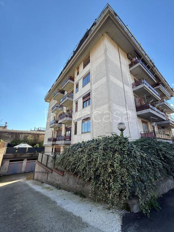 immagine annuncio 2 di 13