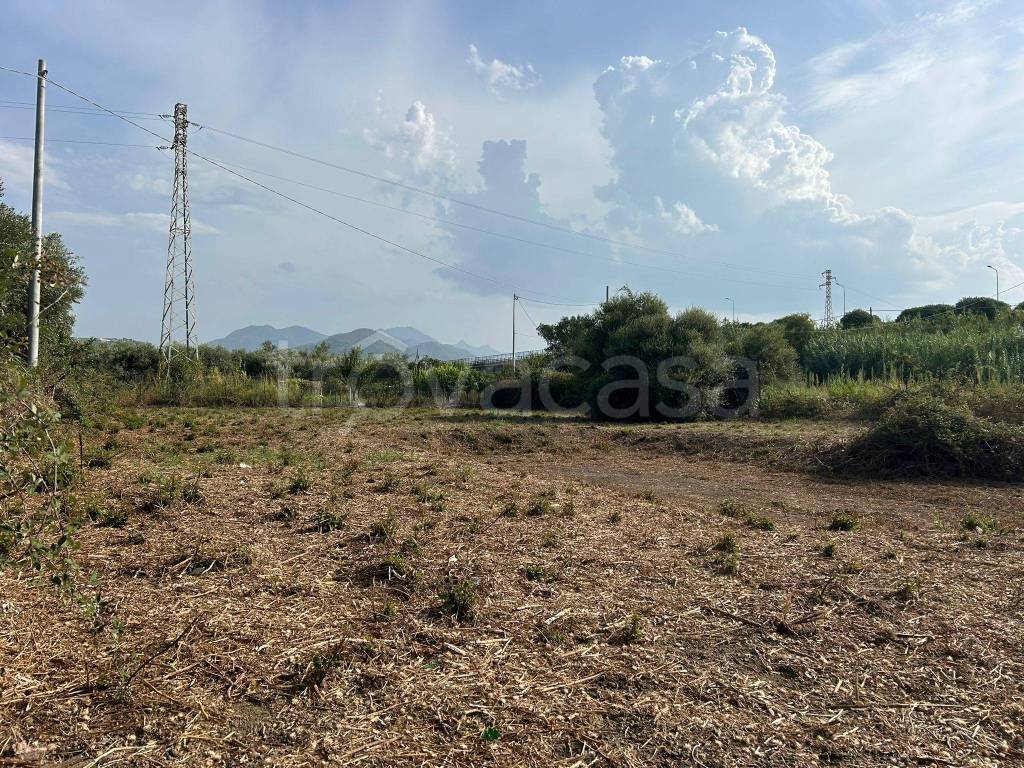 immagine annuncio 1 di 8