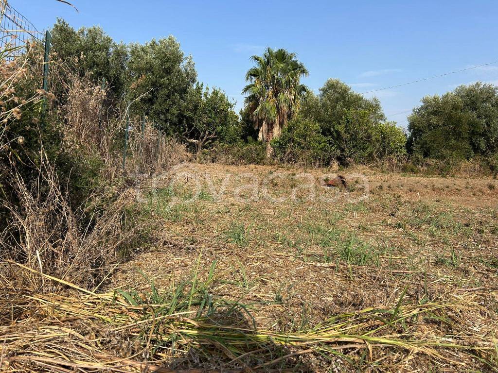 immagine annuncio 3 di 8