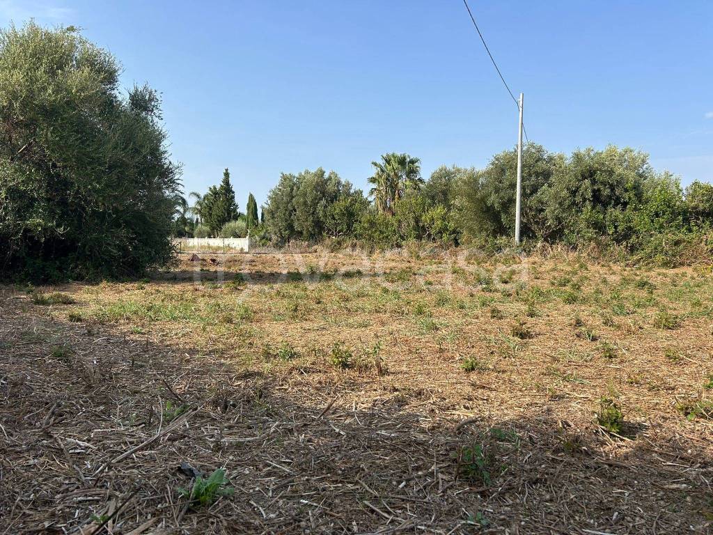 immagine annuncio 4 di 8