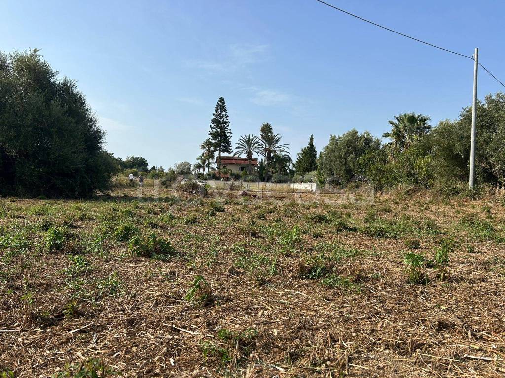 immagine annuncio 6 di 8