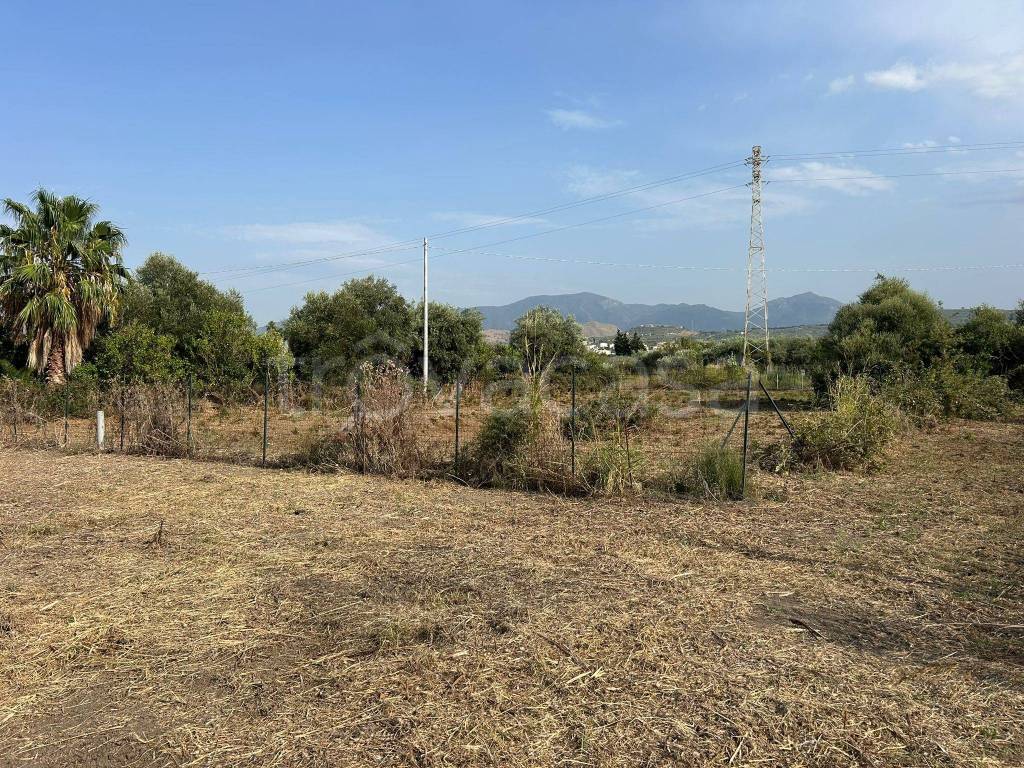 immagine annuncio 7 di 8