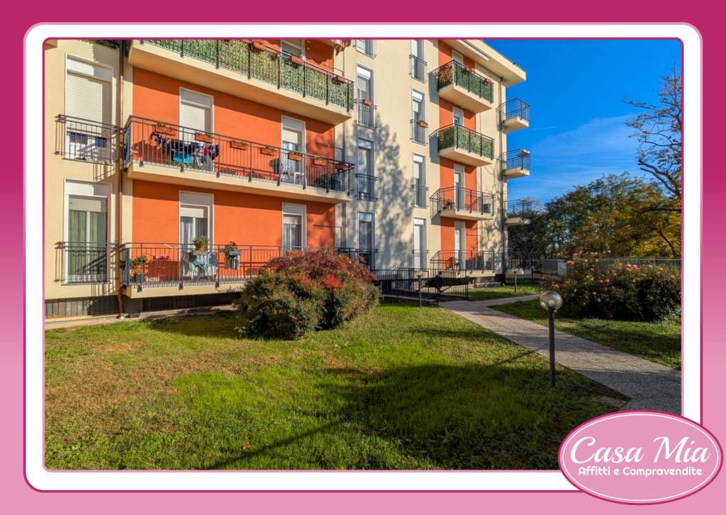 immagine annuncio 2 di 15