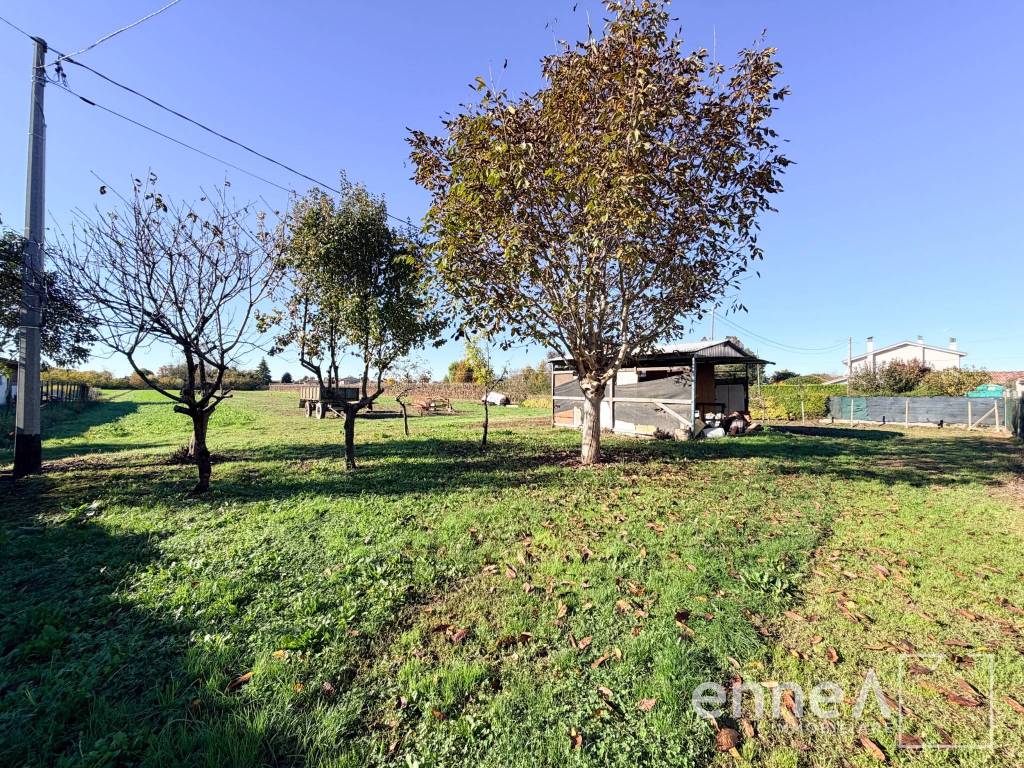 immagine annuncio 12 di 15