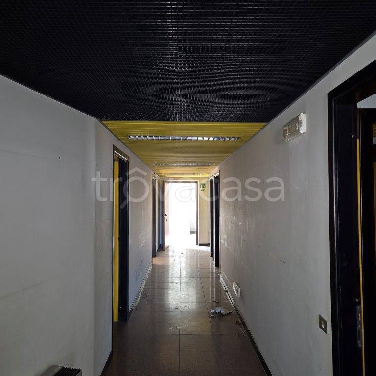 immagine annuncio 1 di 7