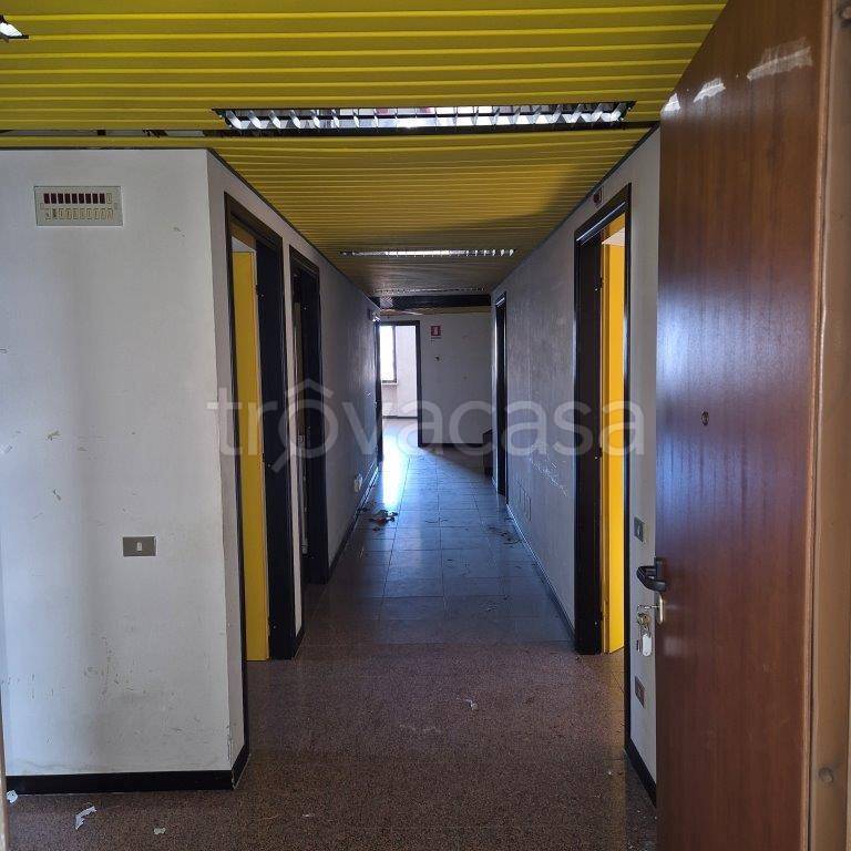 immagine annuncio 6 di 7