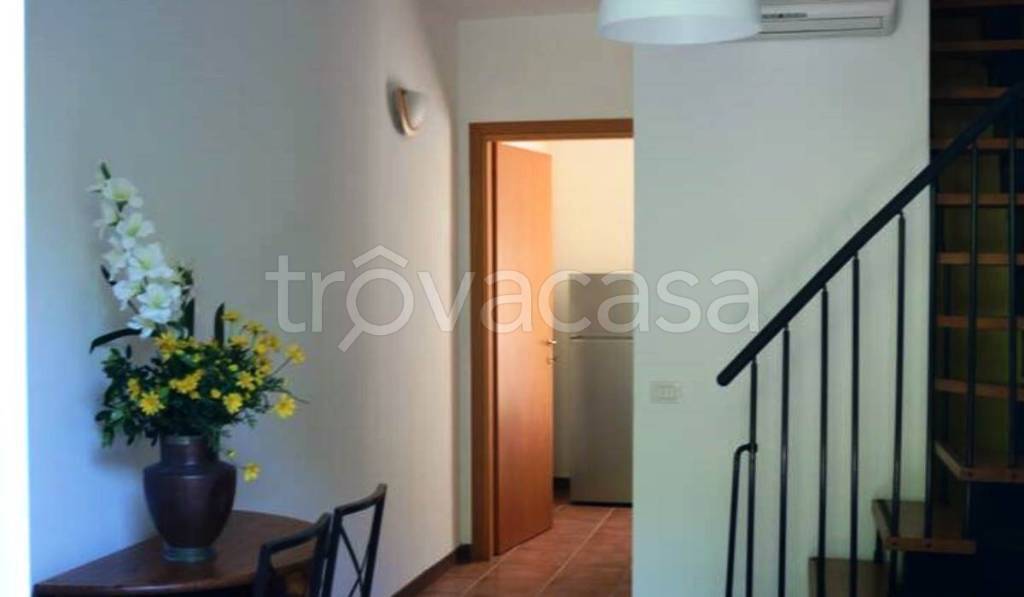 immagine annuncio 4 di 14