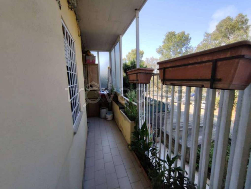 immagine annuncio 6 di 12