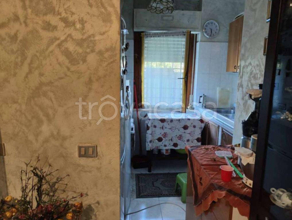 immagine annuncio 7 di 12