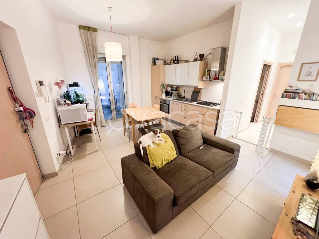 immagine annuncio 7 di 15