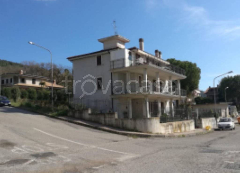 immagine annuncio 3 di 11