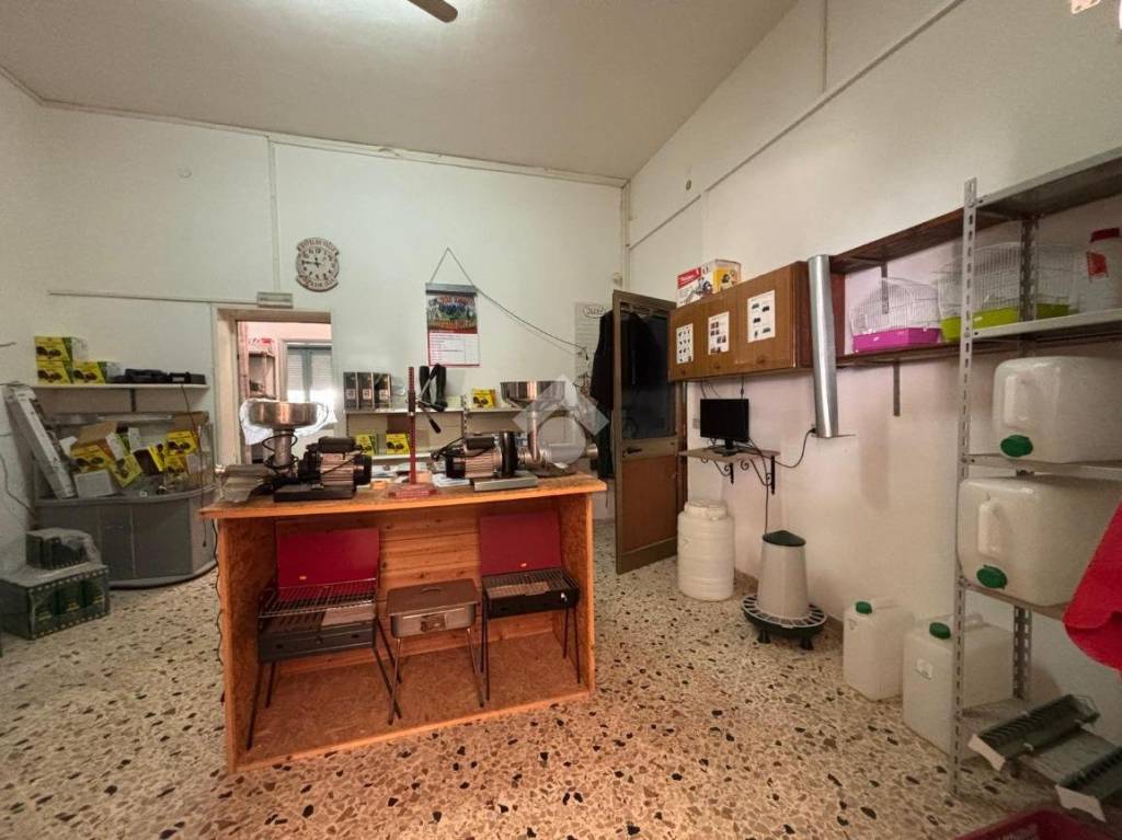 immagine annuncio 13 di 15