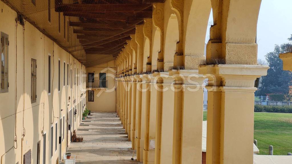 immagine annuncio 2 di 13