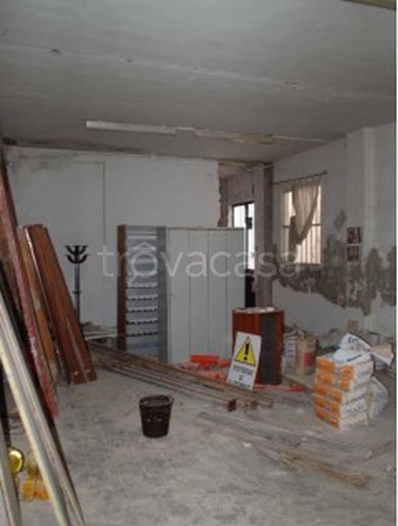 immagine annuncio 7 di 14