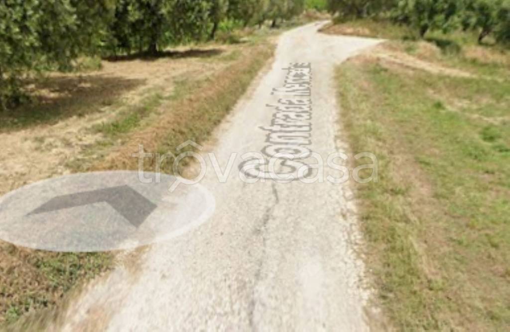 immagine annuncio 3 di 11