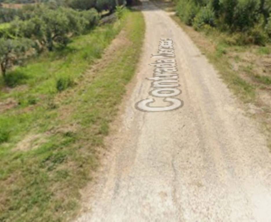 immagine annuncio 6 di 11