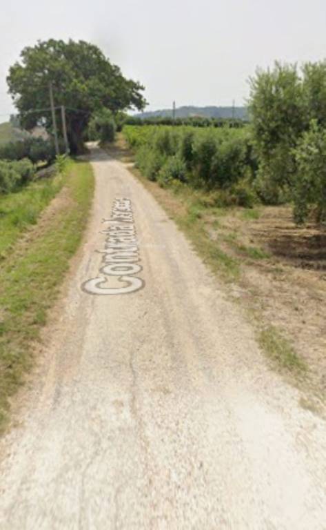 immagine annuncio 7 di 11