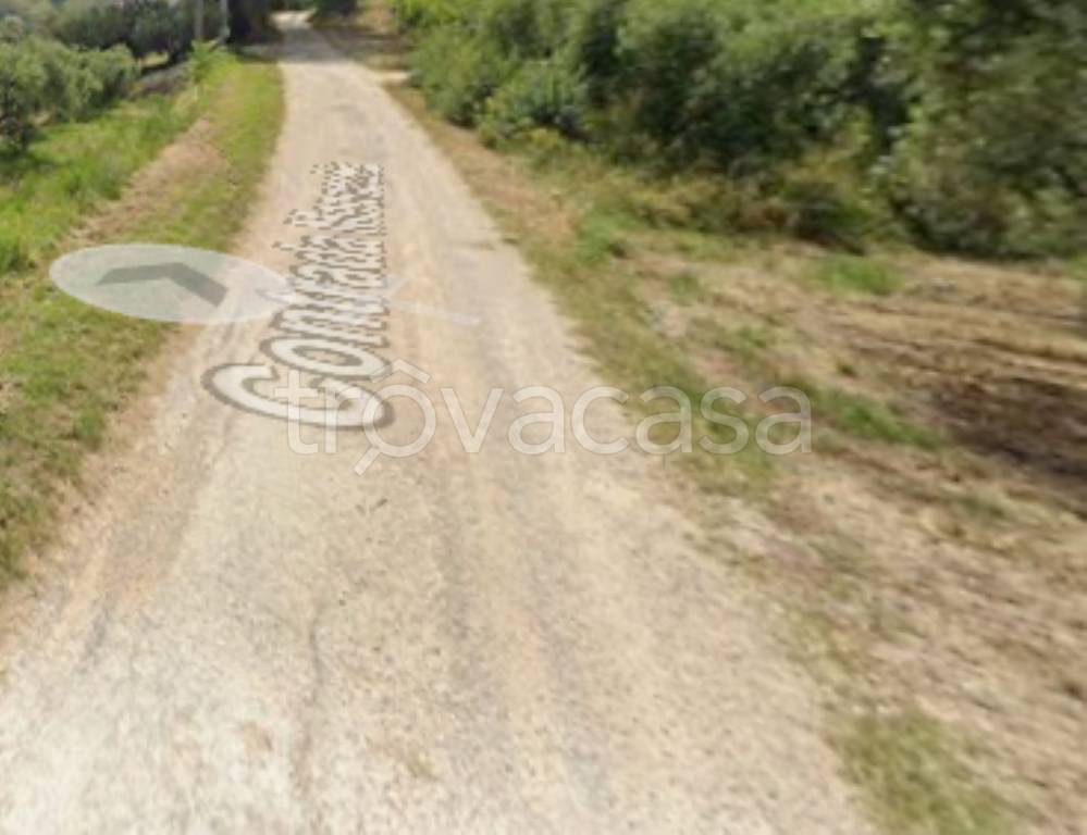 immagine annuncio 8 di 11