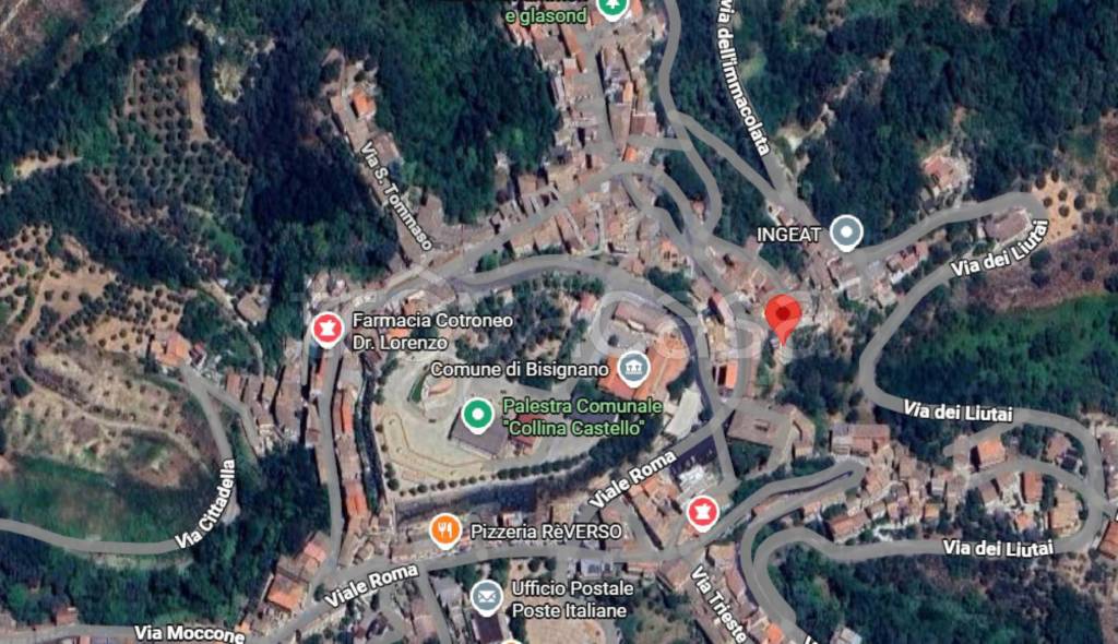 immagine annuncio 4 di 12