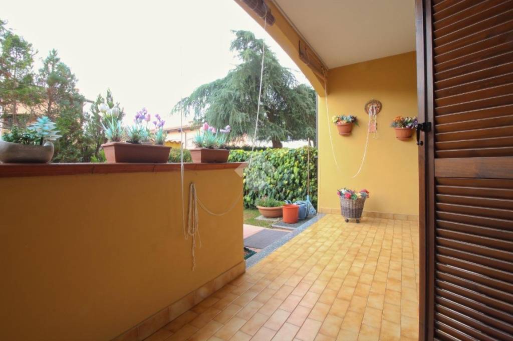 immagine annuncio 4 di 15