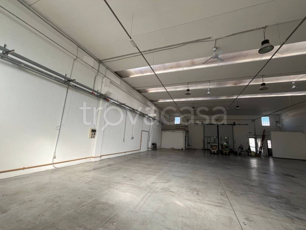 immagine annuncio 2 di 13