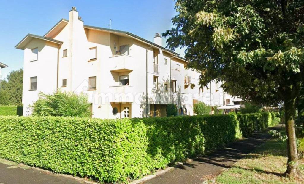 immagine annuncio 11 di 13