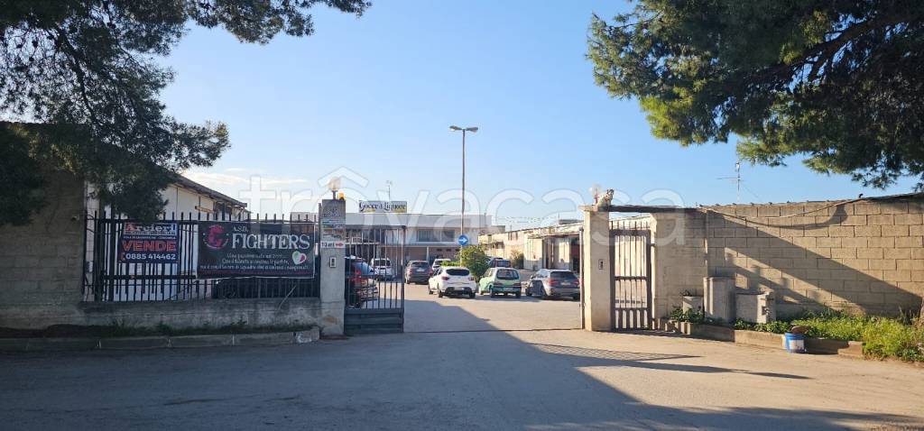 immagine annuncio 1 di 2