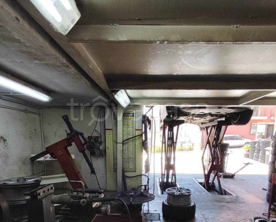 immagine annuncio 4 di 14