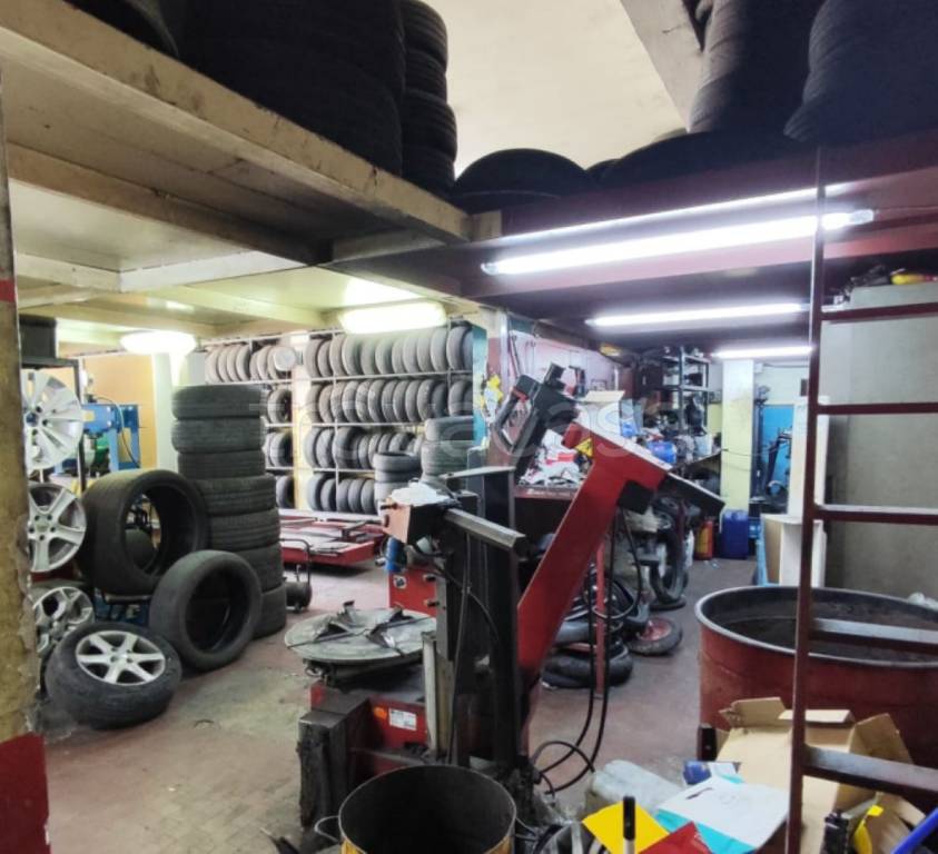 immagine annuncio 5 di 14