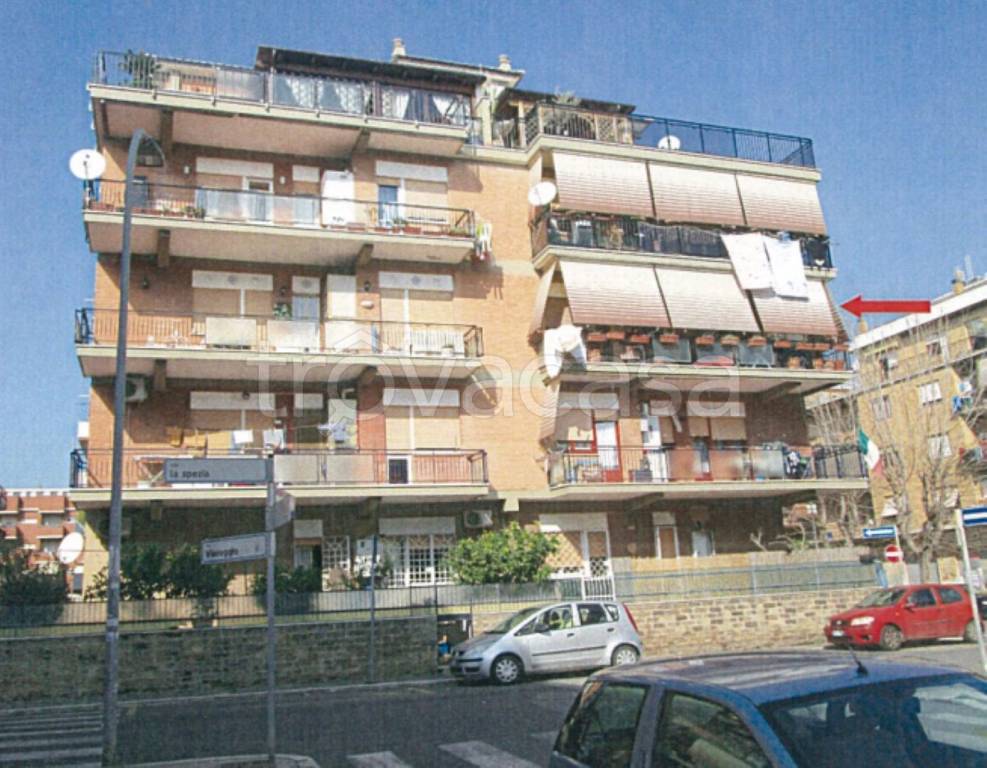 immagine annuncio 10 di 15