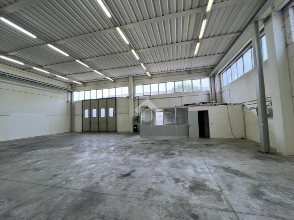 immagine annuncio 12 di 15