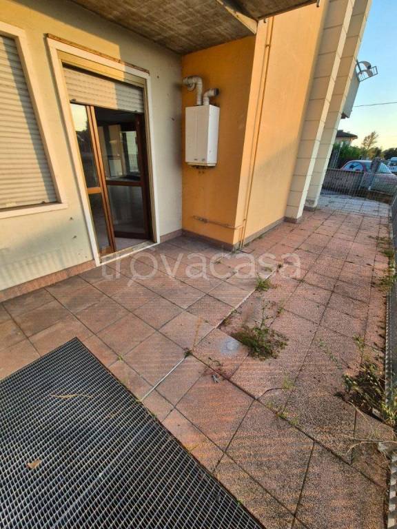 immagine annuncio 5 di 12