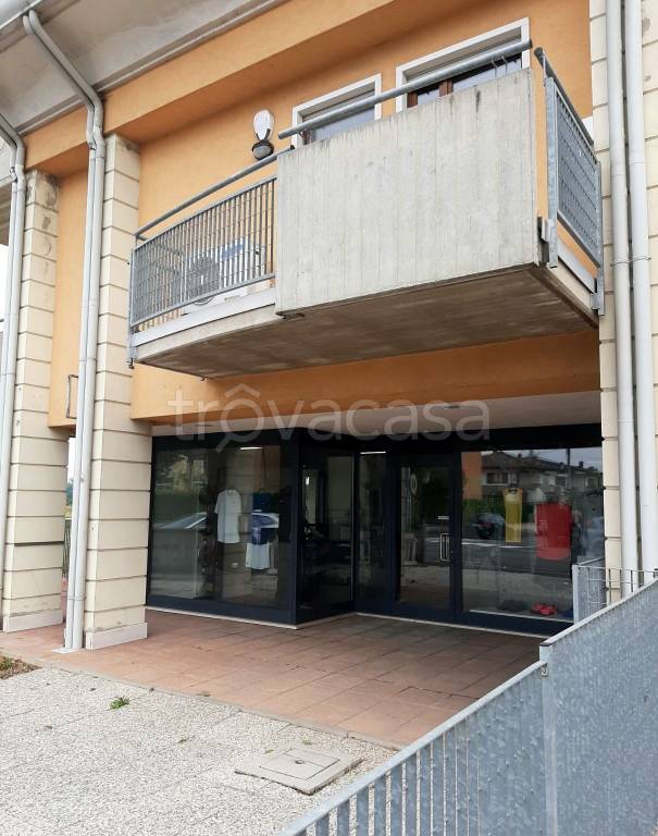 immagine annuncio 6 di 12