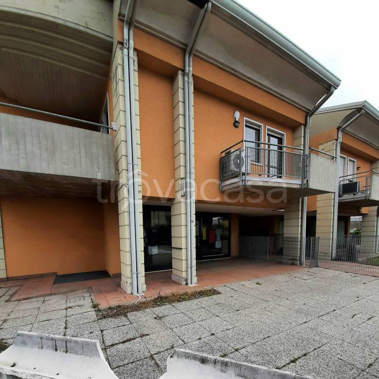 immagine annuncio 7 di 12