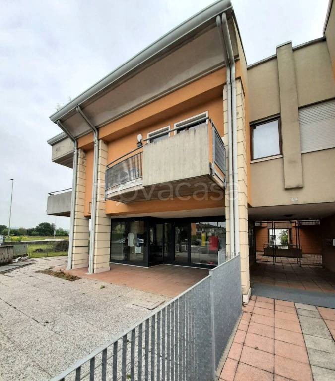 immagine annuncio 8 di 12