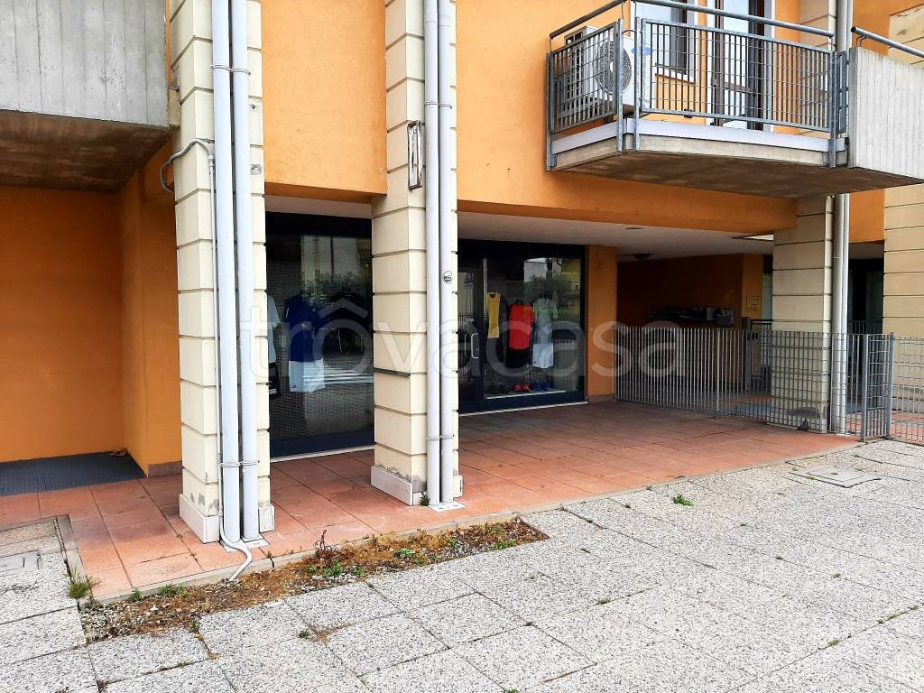 immagine annuncio 9 di 12