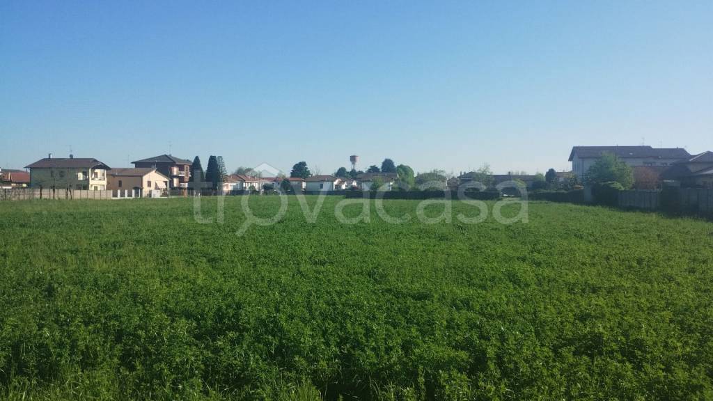 immagine annuncio 1 di 6