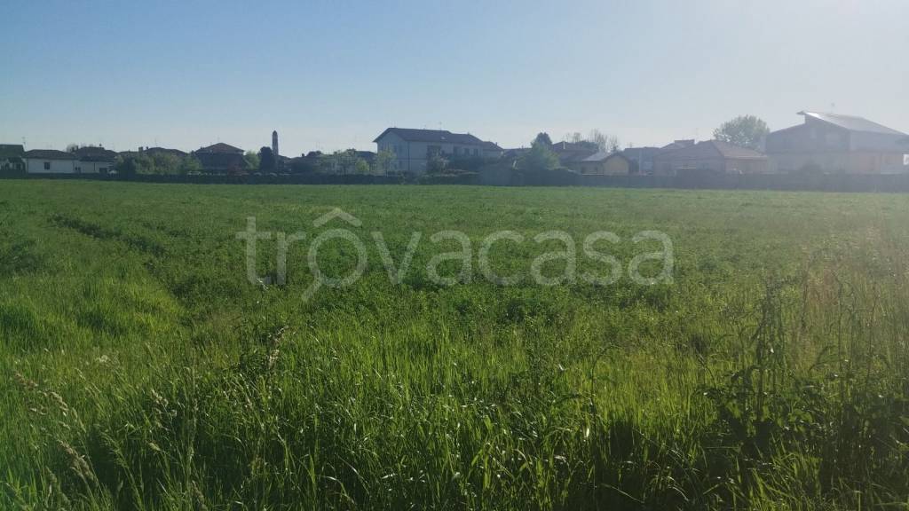 immagine annuncio 2 di 6