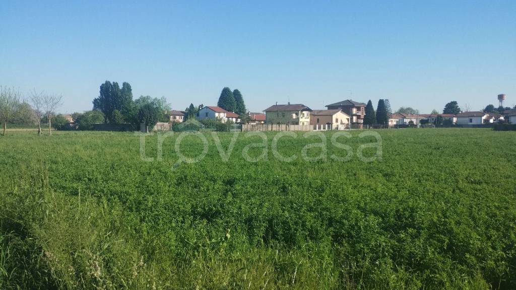 immagine annuncio 4 di 6