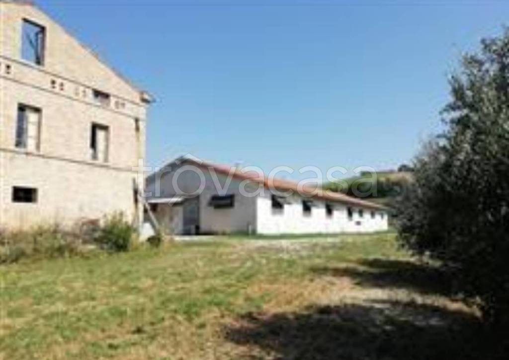 immagine annuncio 4 di 13