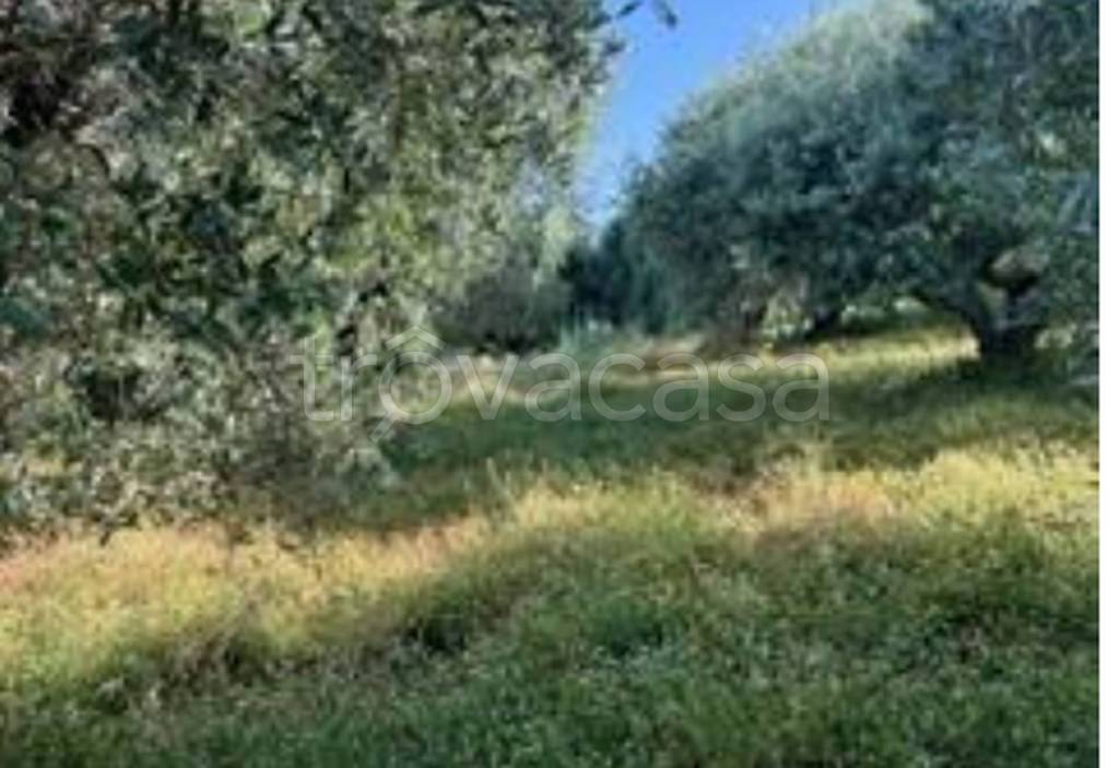 immagine annuncio 9 di 13