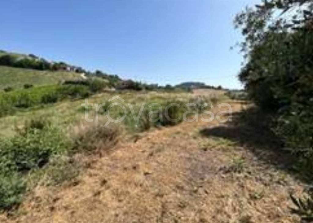 immagine annuncio 11 di 13