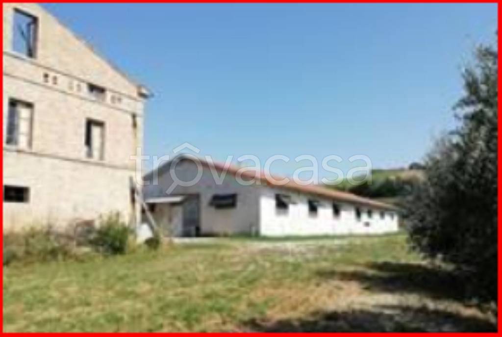 immagine annuncio 3 di 12