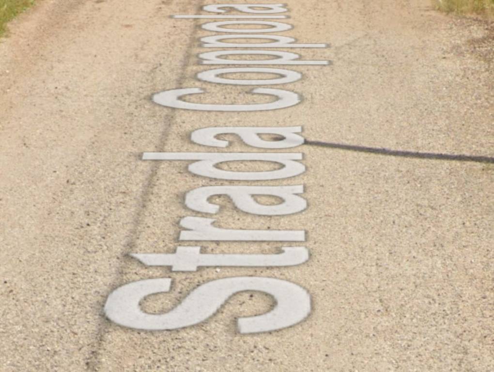 immagine annuncio 2 di 11