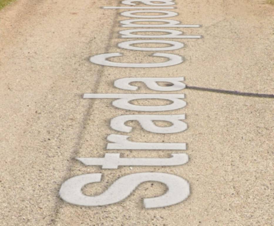 immagine annuncio 3 di 11